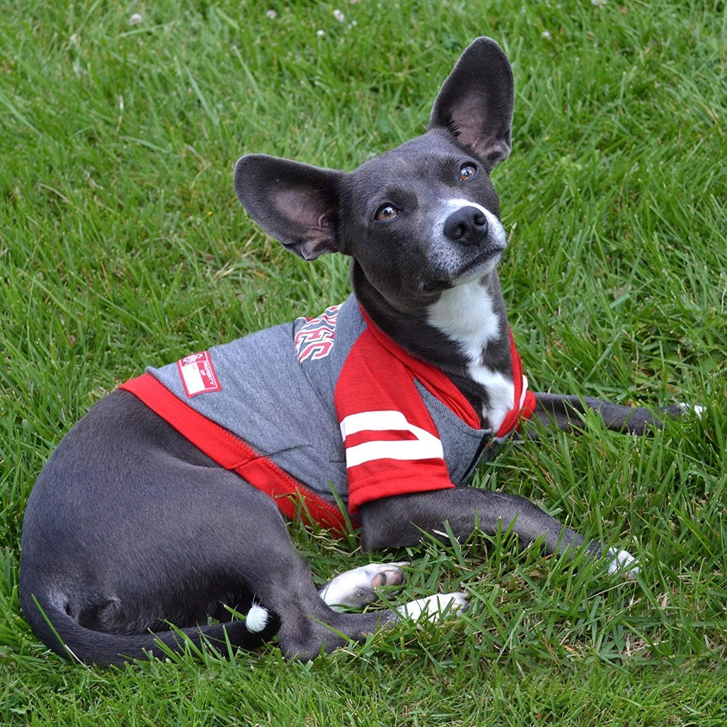 NCAA Ohio State Buckeyes Hoodie for Dogs & Cats, Medium. | Collegiate Licensed Dog Hoody Tee Shirt | Sports Hoody T-Shirt for Pets | College Sporty Dog Hoodie Shirt
