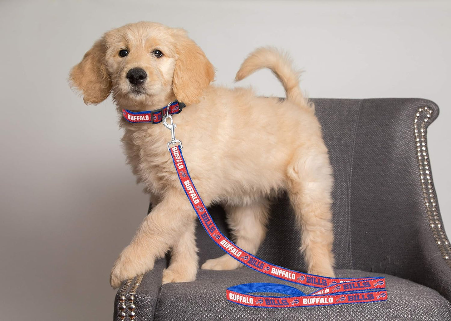 NFL Pets NFL