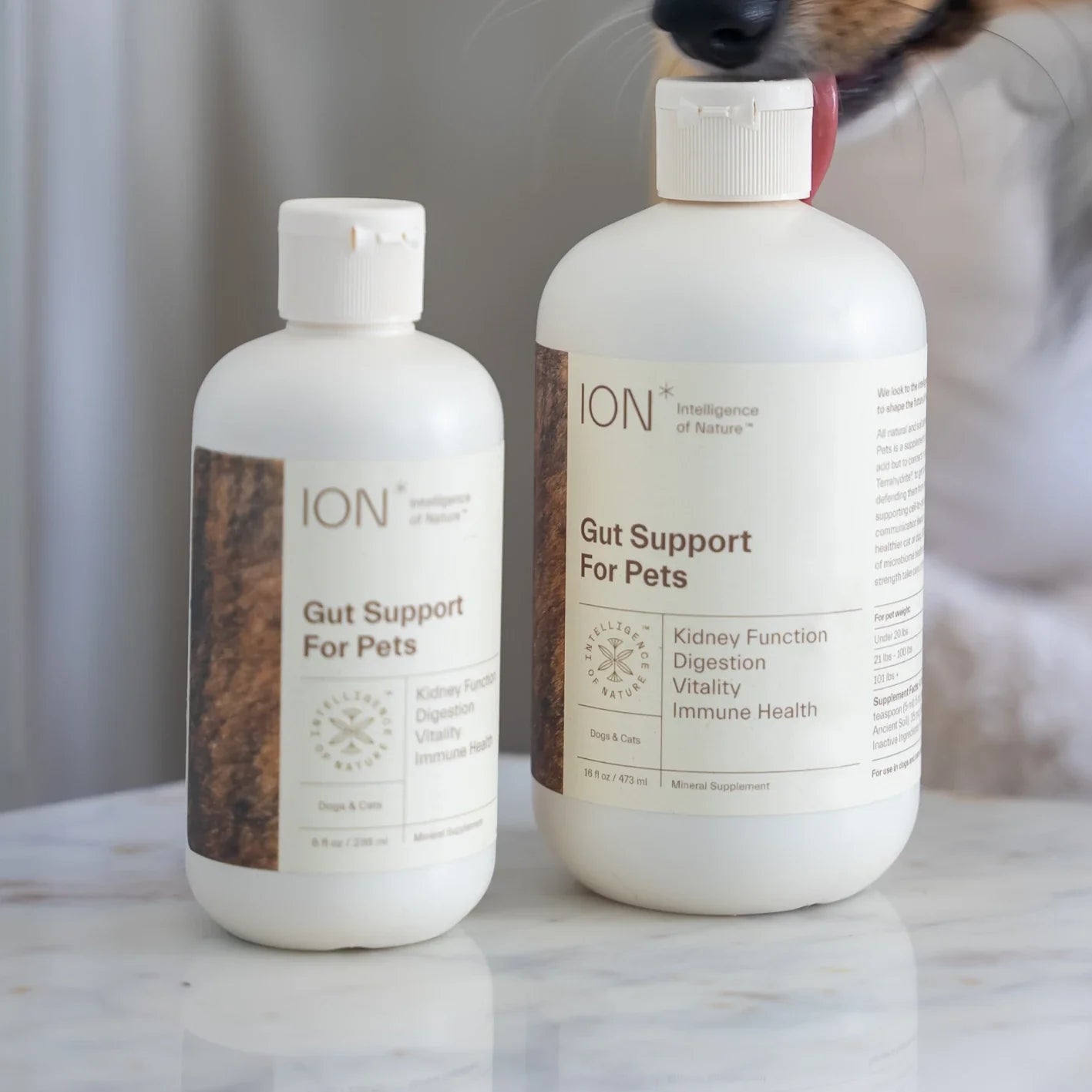 ION* Gut Support for Pets