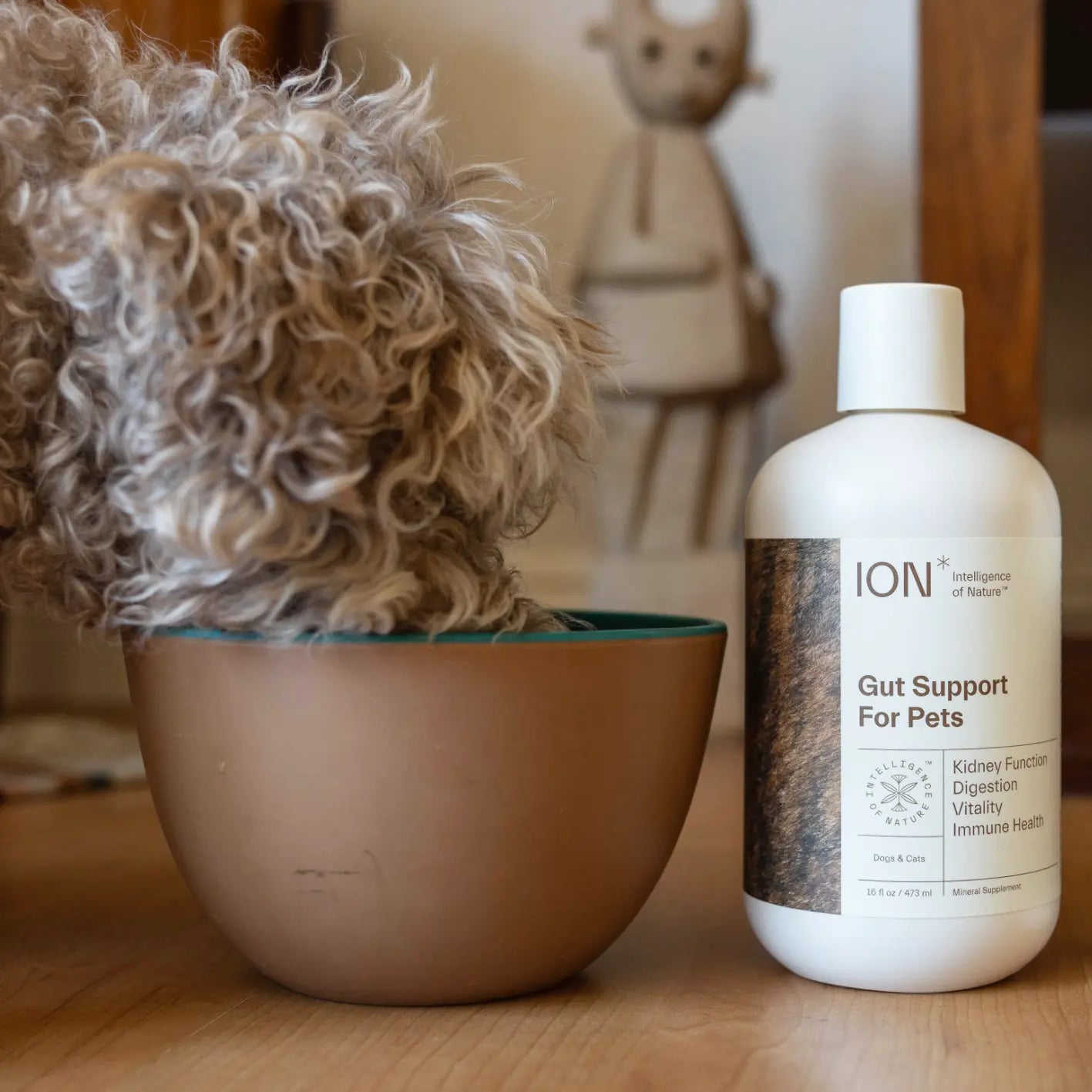 ION* Gut Support for Pets