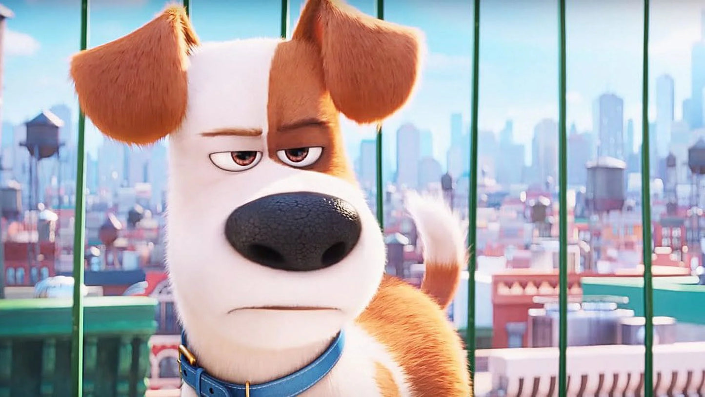The Secret Life of Pets [DVD]