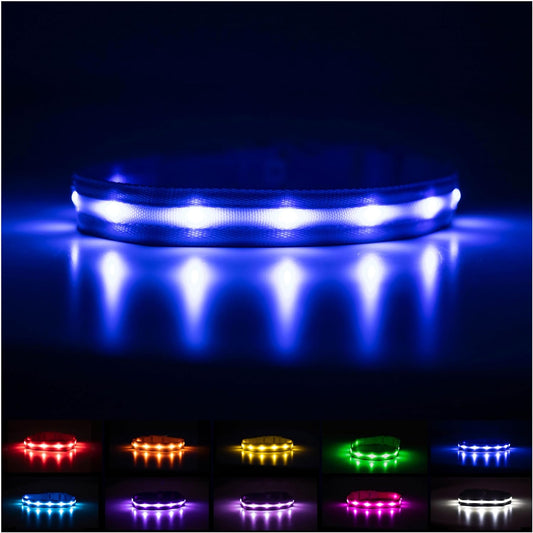 Light up Dog Collar - the Original LED Dog Collar - USB Rechargeable - Waterproof - 1,000 Feet of Visibility - Dog Collar Light for Small, Medium, Large Dogs - US Brand